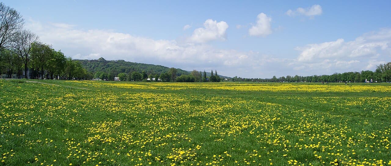 Blonia Meadow, Krakow
