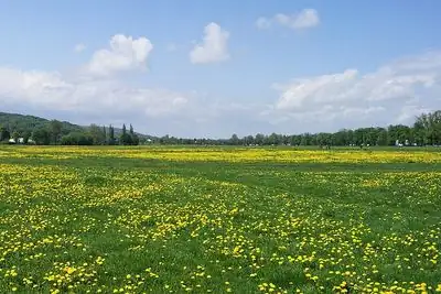 Blonia Meadow, Krakow