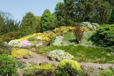Jagiellonian University Botanical Garden, Krakow