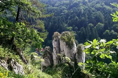 Limestone rocks in Ojcow National Park